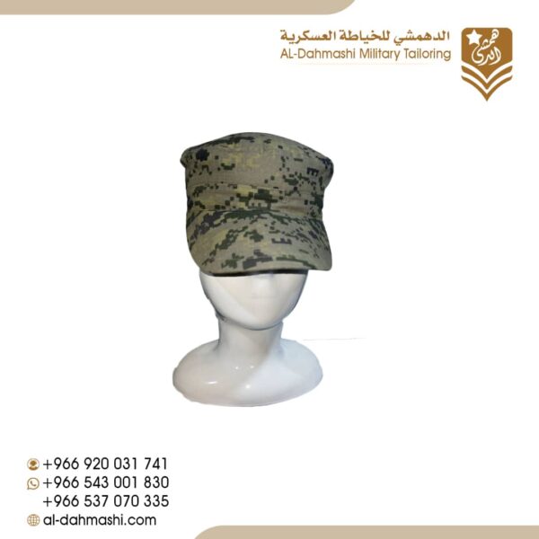 قبوع جوازات فرنسي